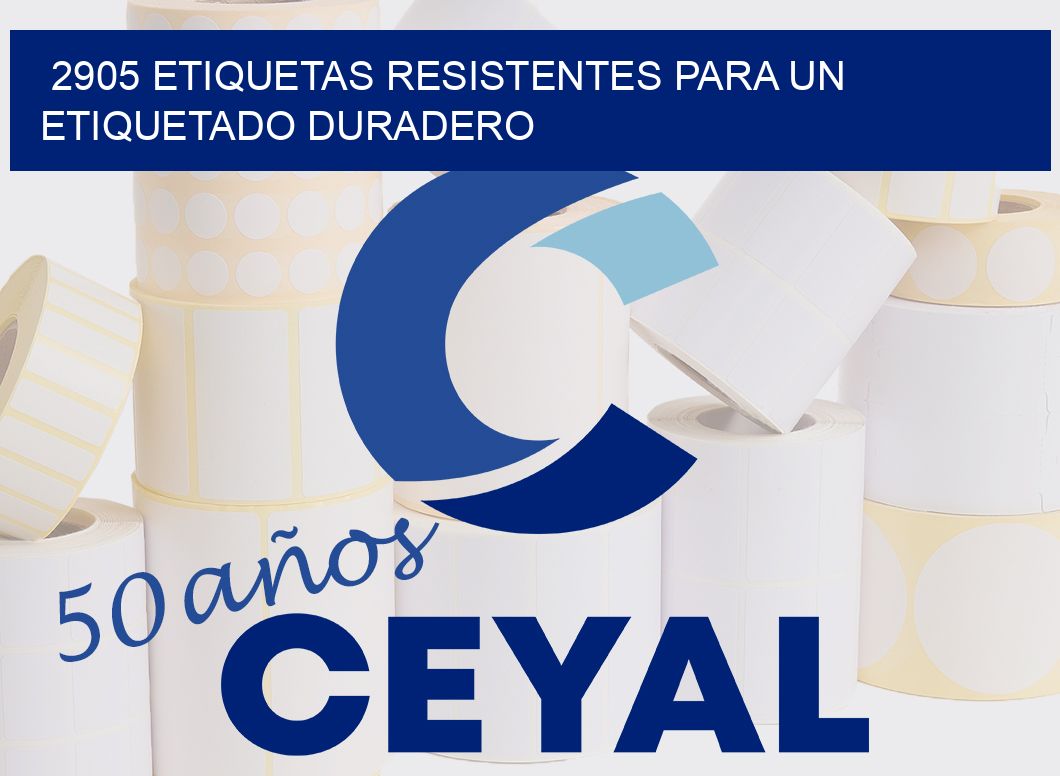 2905 ETIQUETAS RESISTENTES PARA UN ETIQUETADO DURADERO