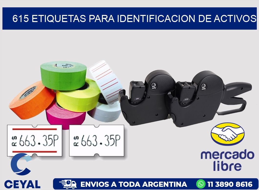 615 ETIQUETAS PARA IDENTIFICACION DE ACTIVOS