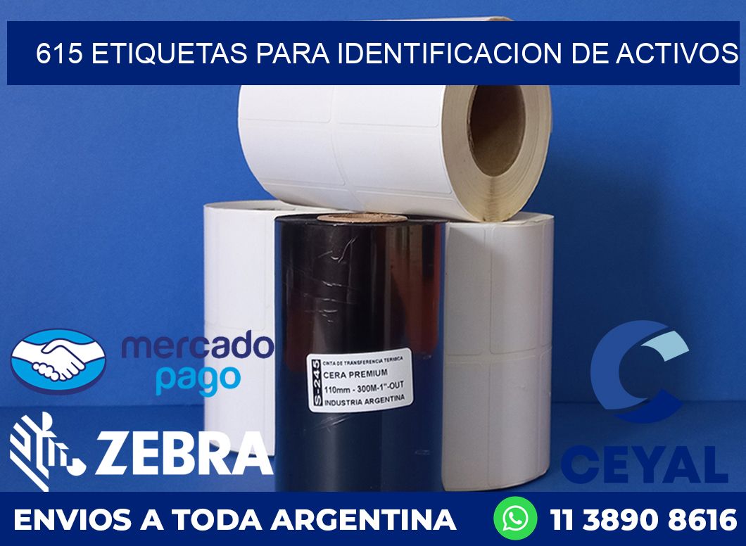 615 ETIQUETAS PARA IDENTIFICACION DE ACTIVOS