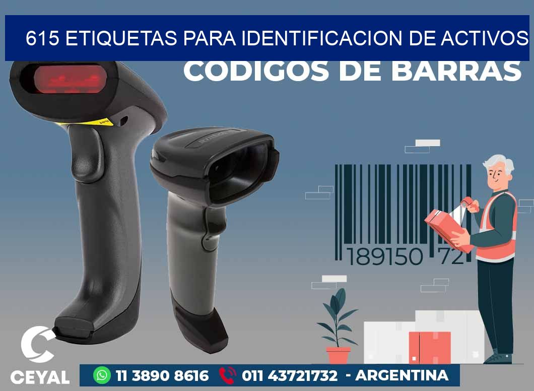 615 ETIQUETAS PARA IDENTIFICACION DE ACTIVOS