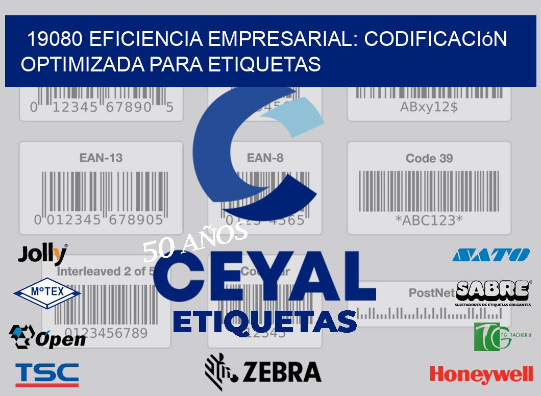 19080 Eficiencia Empresarial: Codificación Optimizada para Etiquetas