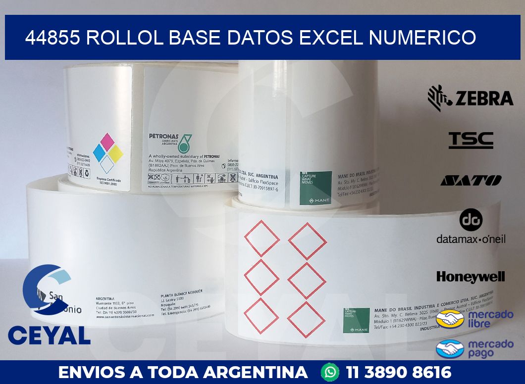 44855 rollol base datos excel numerico