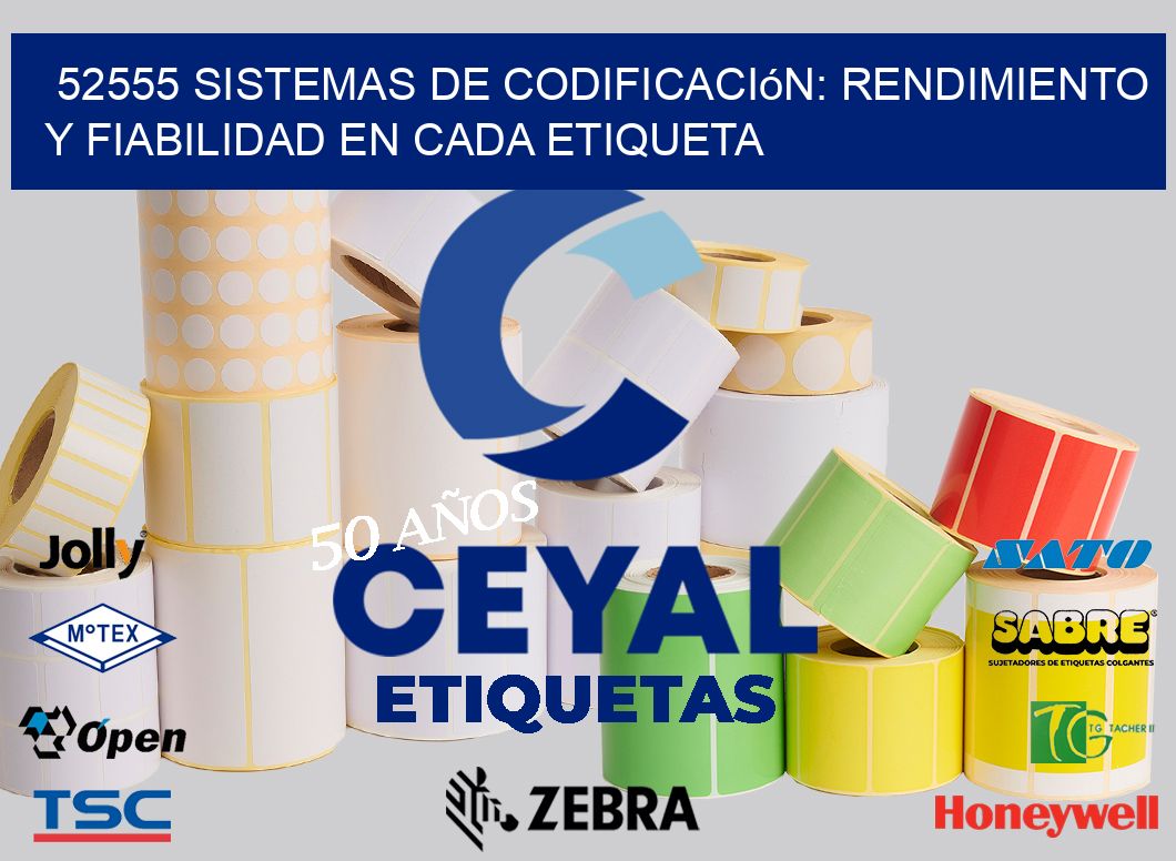 52555 Sistemas de Codificación: Rendimiento y Fiabilidad en Cada Etiqueta
