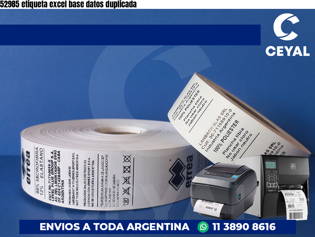 52985 etiqueta excel base datos duplicada