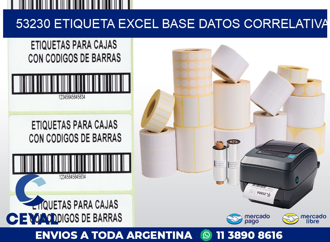 53230 etiqueta excel base datos correlativa