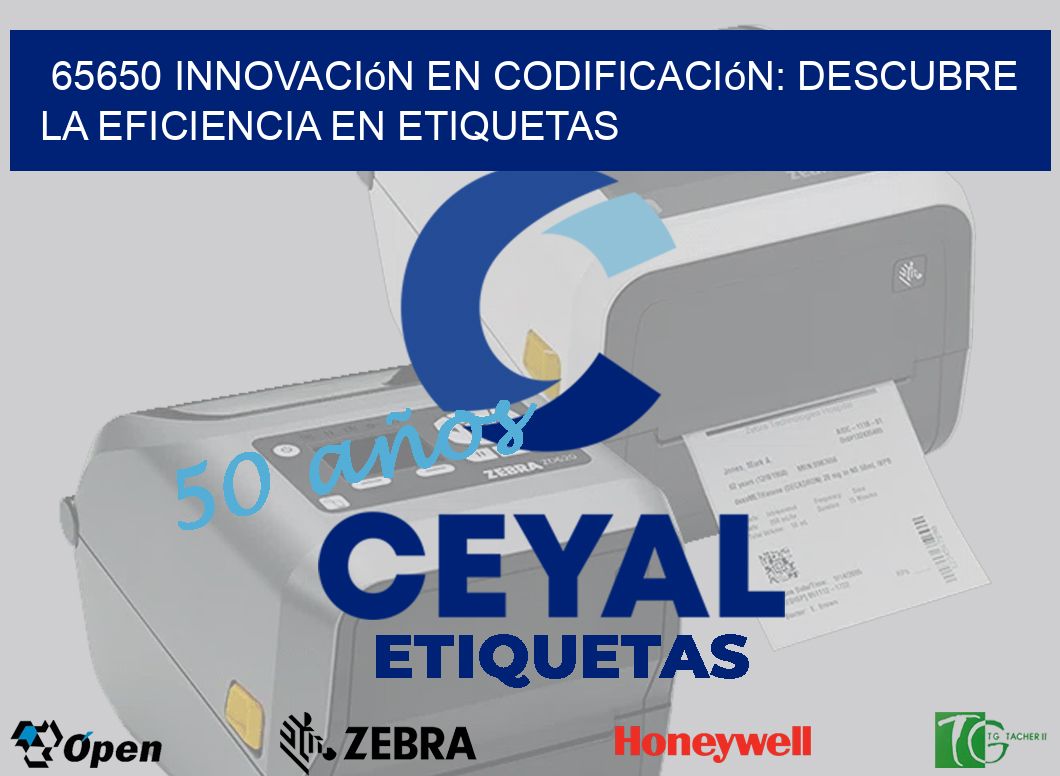 65650 Innovación en Codificación: Descubre la Eficiencia en Etiquetas