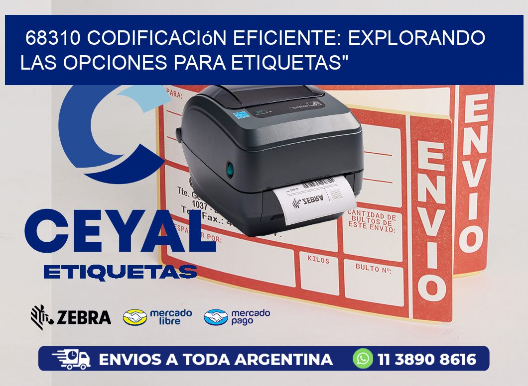 68310 Codificación Eficiente: Explorando las Opciones para Etiquetas