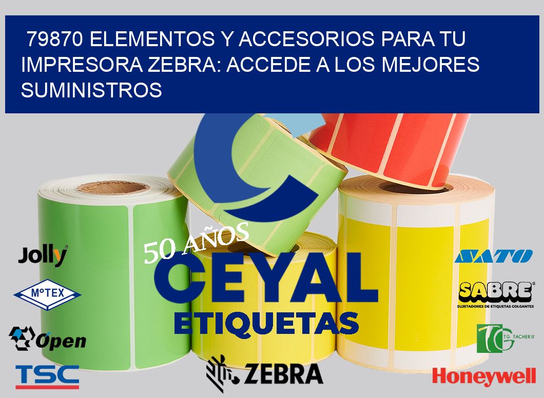 79870 ELEMENTOS Y ACCESORIOS PARA TU IMPRESORA ZEBRA: ACCEDE A LOS MEJORES SUMINISTROS