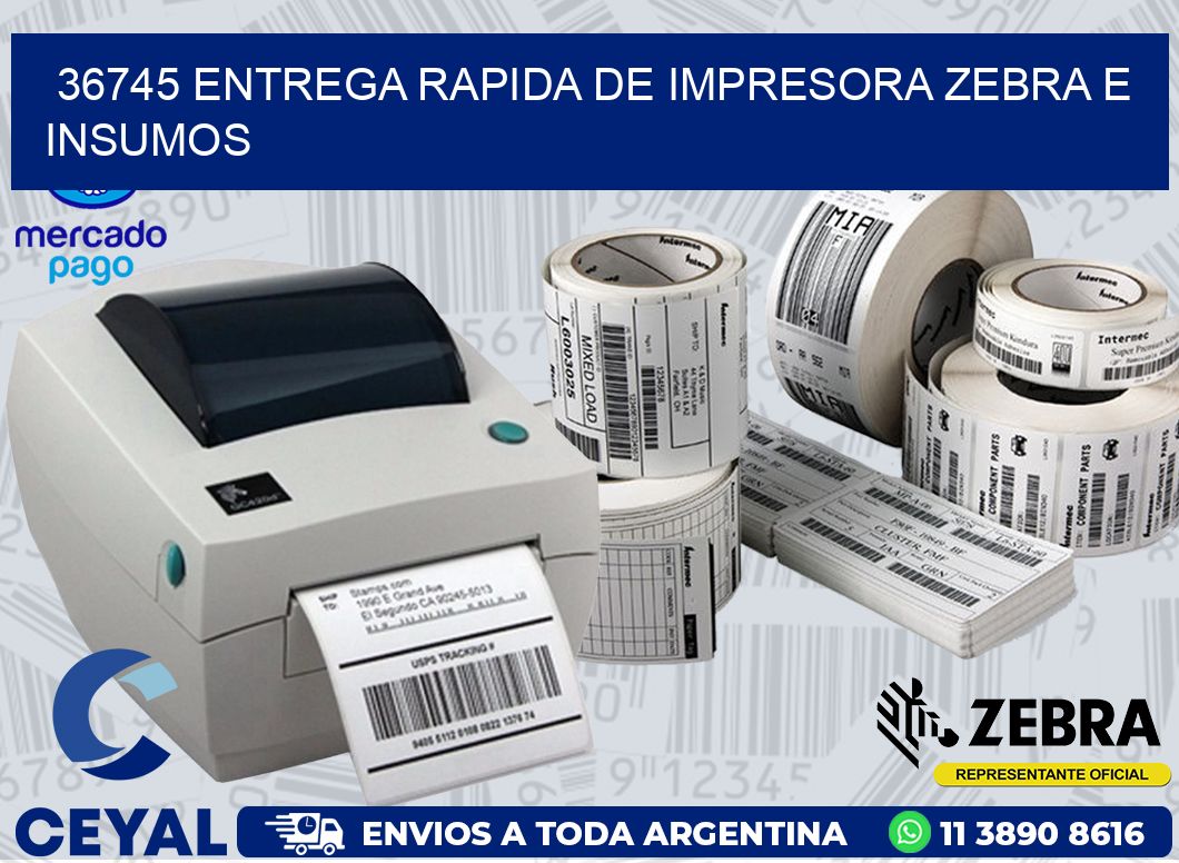 36745 ENTREGA RAPIDA DE IMPRESORA ZEBRA E INSUMOS