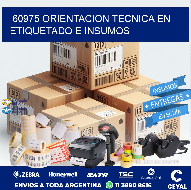 60975 ORIENTACION TECNICA EN ETIQUETADO E INSUMOS