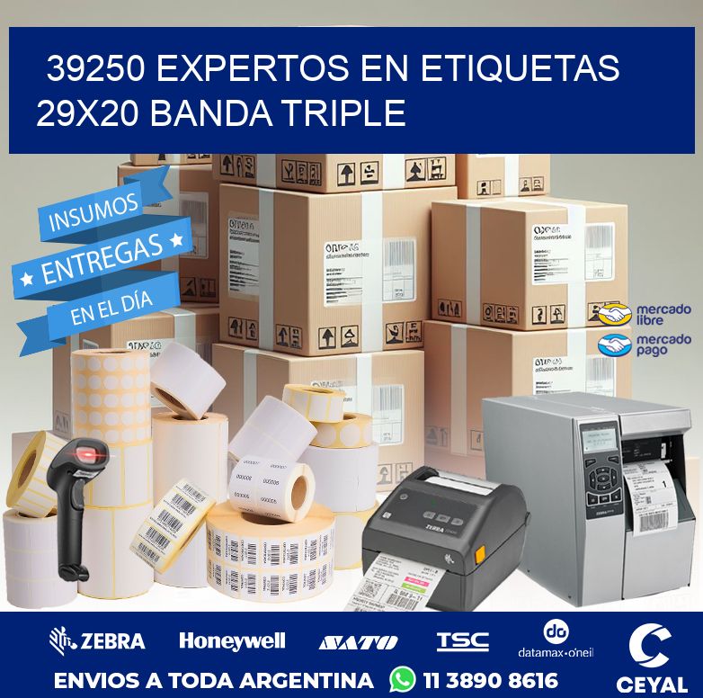 39250 EXPERTOS EN ETIQUETAS 29X20 BANDA TRIPLE