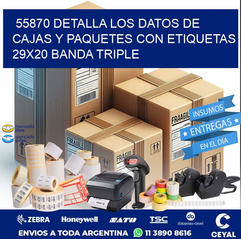55870 DETALLA LOS DATOS DE CAJAS Y PAQUETES CON ETIQUETAS 29X20 BANDA TRIPLE