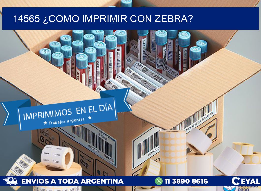 14565 ¿COMO IMPRIMIR CON ZEBRA?