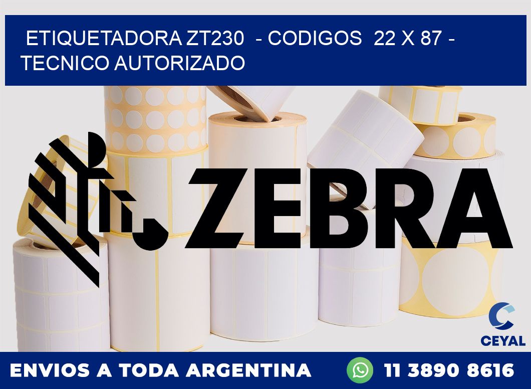 ETIQUETADORA ZT230  - CODIGOS  22 x 87 - TECNICO AUTORIZADO