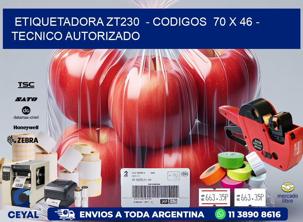 ETIQUETADORA ZT230  - CODIGOS  70 x 46 - TECNICO AUTORIZADO