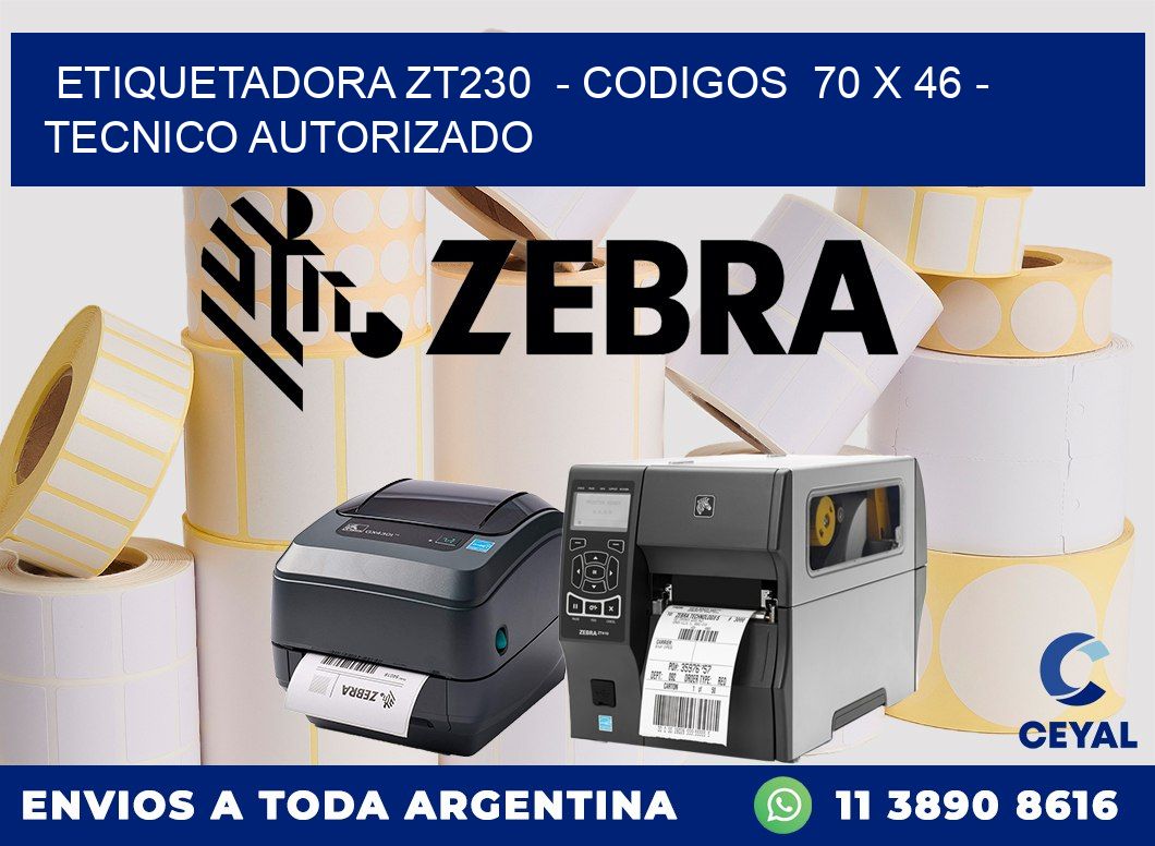 ETIQUETADORA ZT230  - CODIGOS  70 x 46 - TECNICO AUTORIZADO