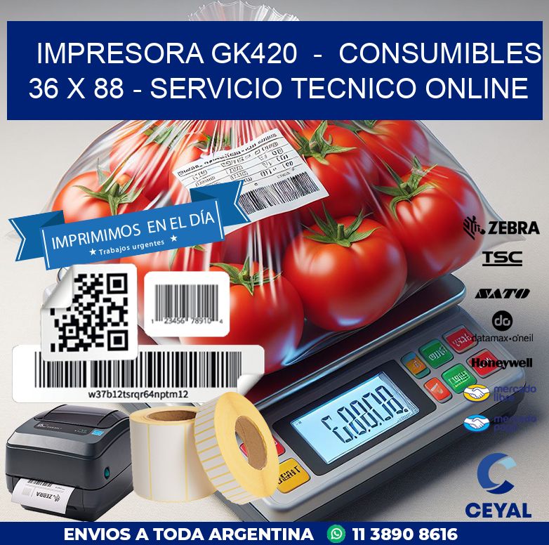 IMPRESORA GK420  –  CONSUMIBLES 36 x 88 – SERVICIO TECNICO ONLINE
