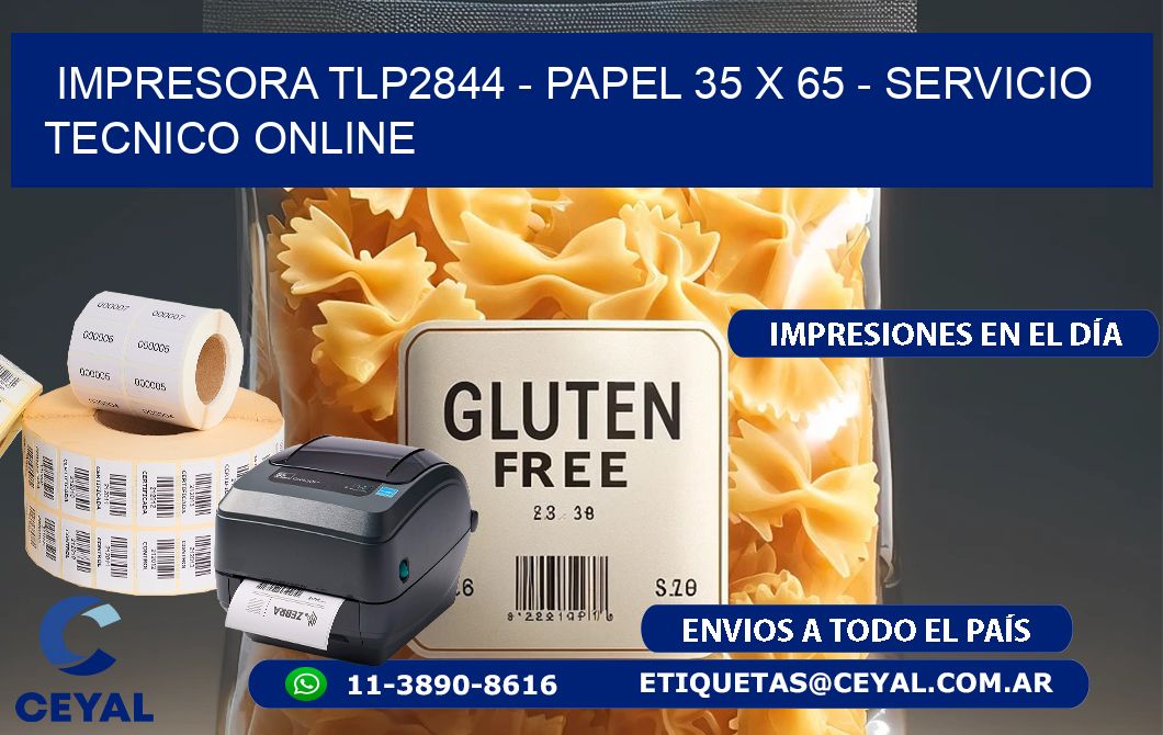 IMPRESORA TLP2844 - PAPEL 35 x 65 - SERVICIO TECNICO ONLINE