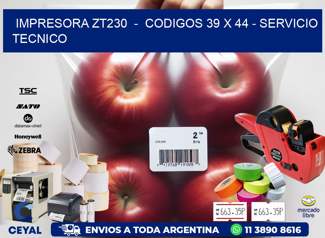 IMPRESORA ZT230  -  CODIGOS 39 x 44 - SERVICIO TECNICO