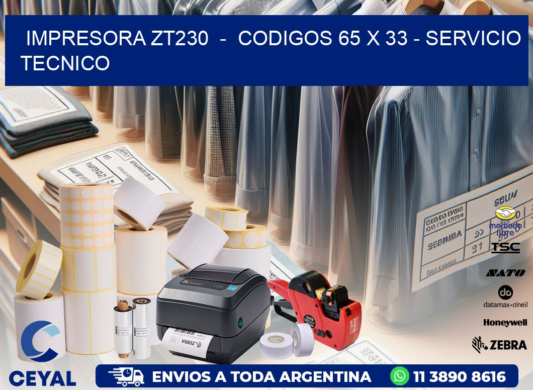 IMPRESORA ZT230  -  CODIGOS 65 x 33 - SERVICIO TECNICO