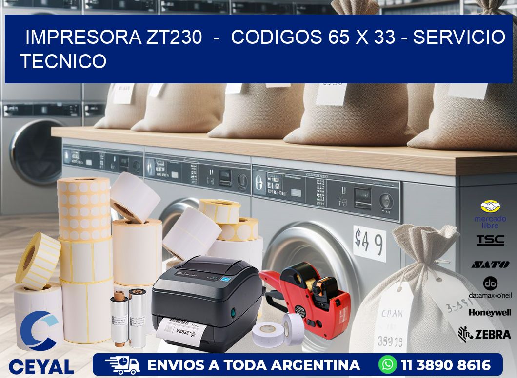 IMPRESORA ZT230  -  CODIGOS 65 x 33 - SERVICIO TECNICO