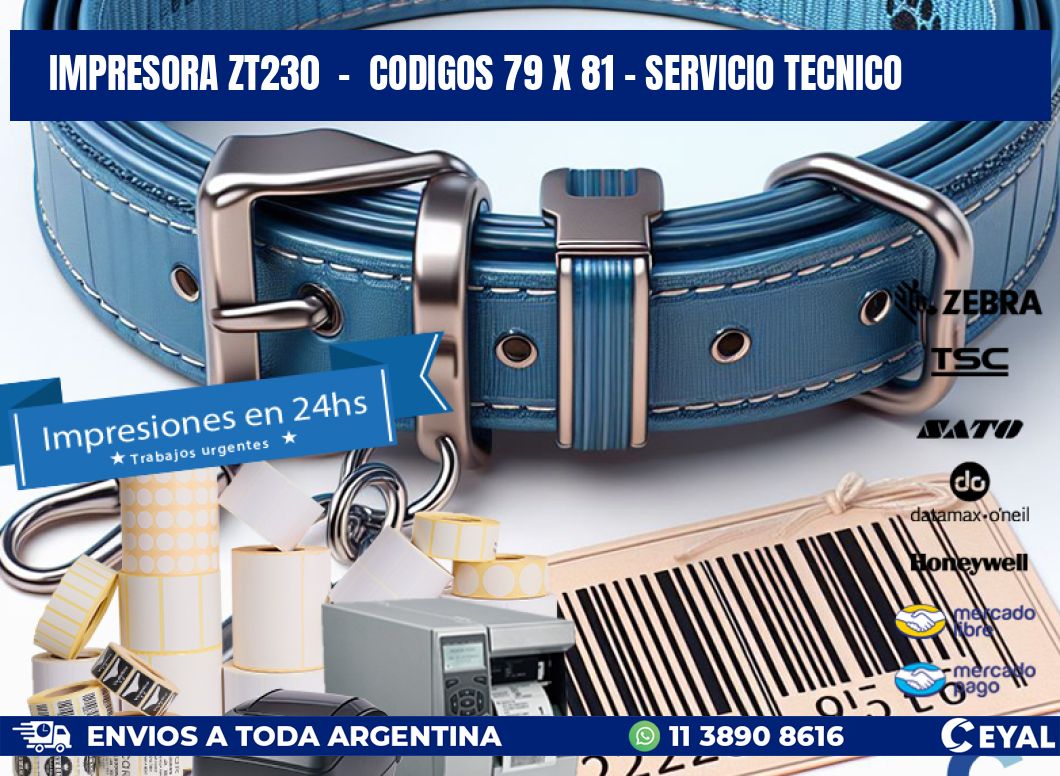 IMPRESORA ZT230  -  CODIGOS 79 x 81 - SERVICIO TECNICO