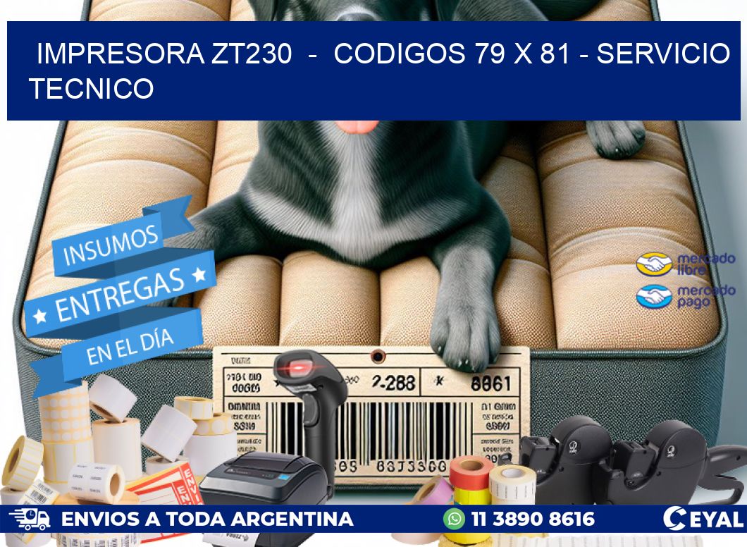 IMPRESORA ZT230  –  CODIGOS 79 x 81 – SERVICIO TECNICO