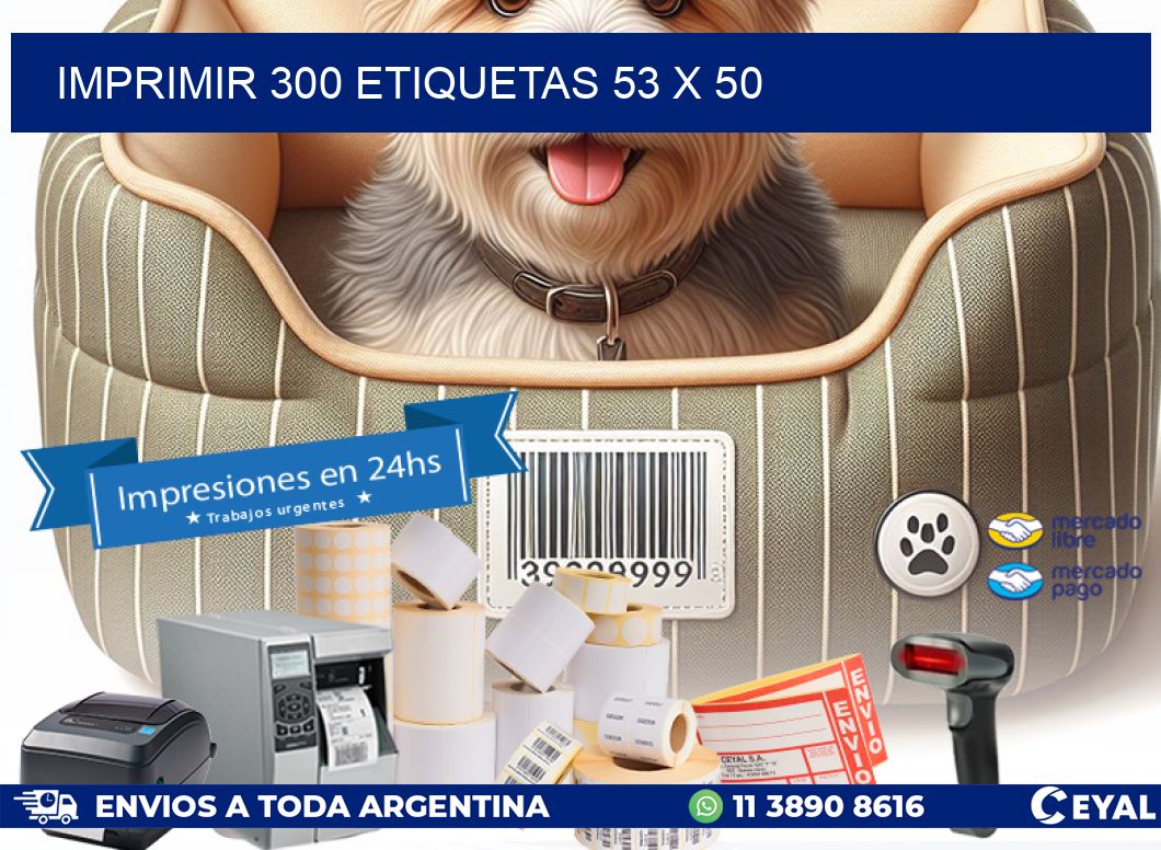 IMPRIMIR 300 ETIQUETAS 53 x 50