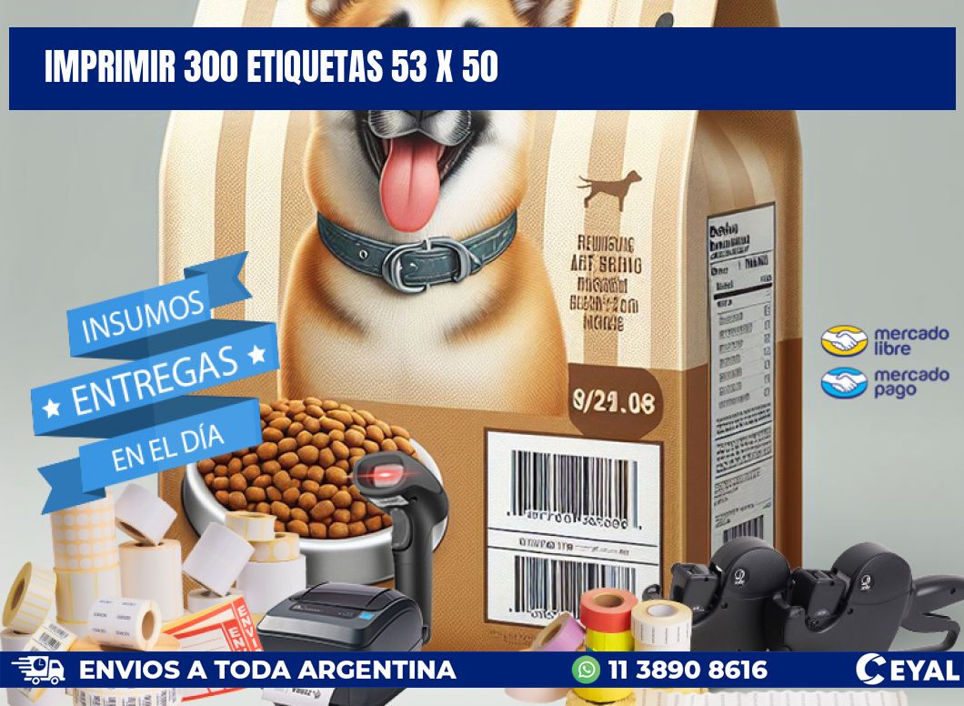 IMPRIMIR 300 ETIQUETAS 53 x 50
