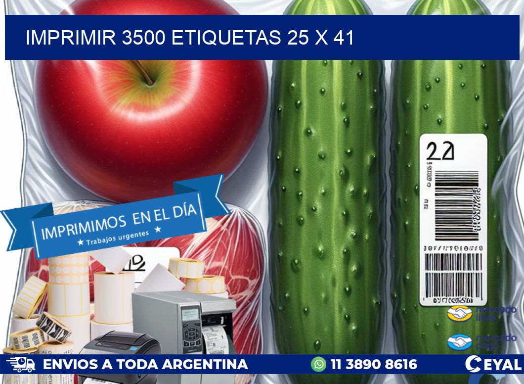 IMPRIMIR 3500 ETIQUETAS 25 x 41