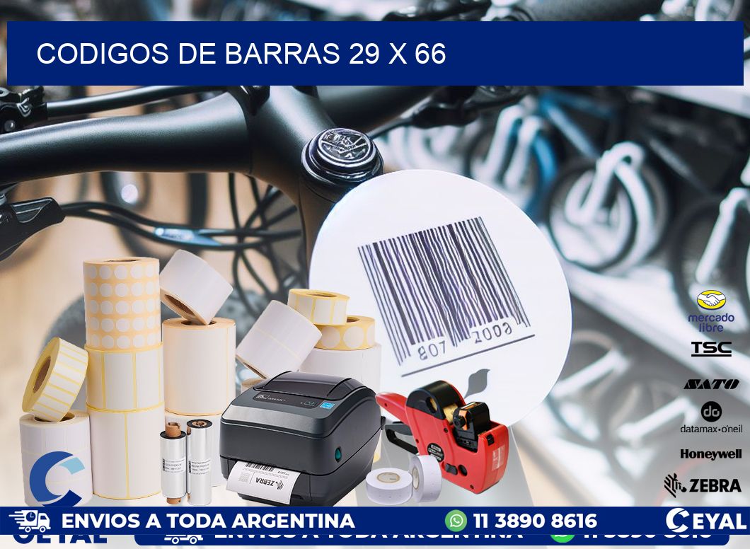 codigos de barras 29 x 66