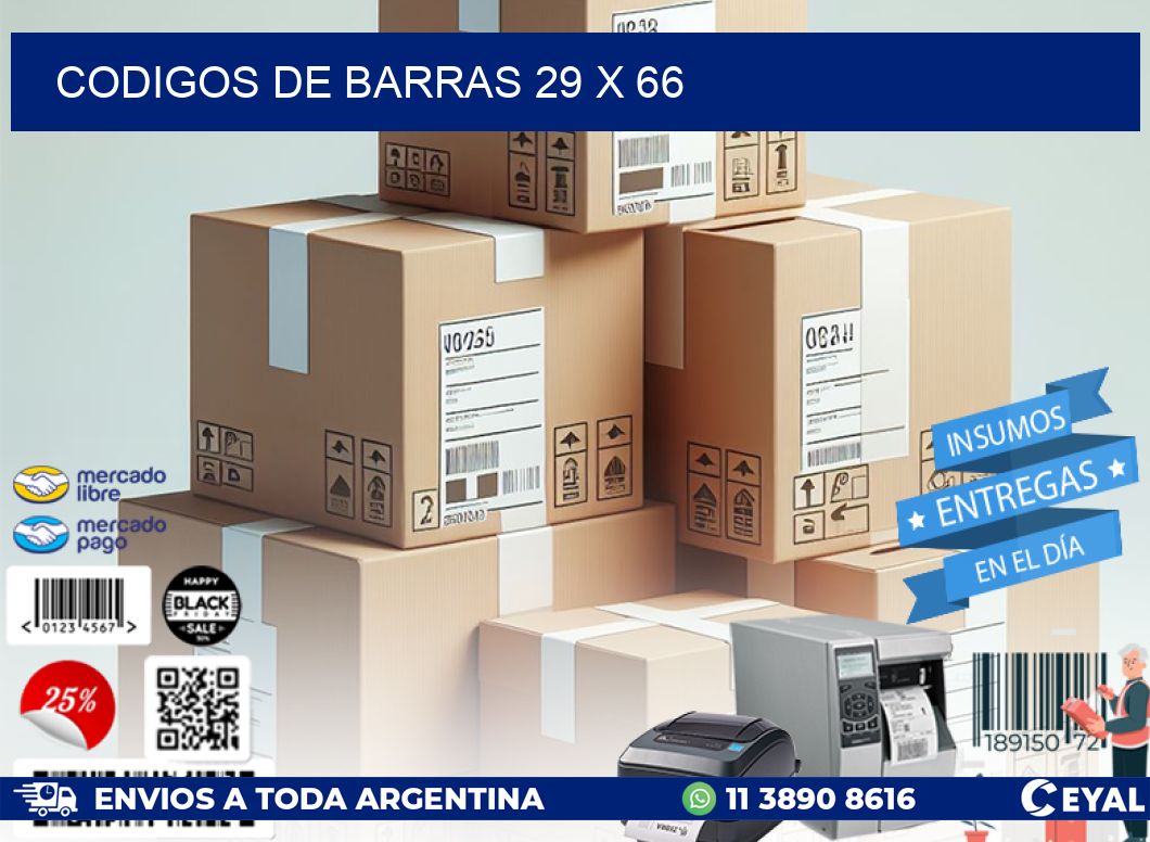 codigos de barras 29 x 66