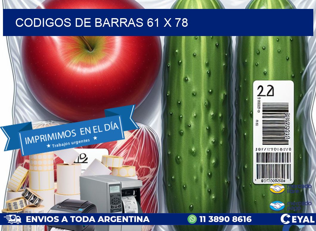 codigos de barras 61 x 78