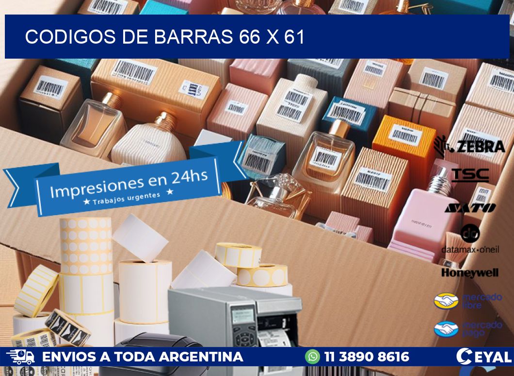 codigos de barras 66 x 61
