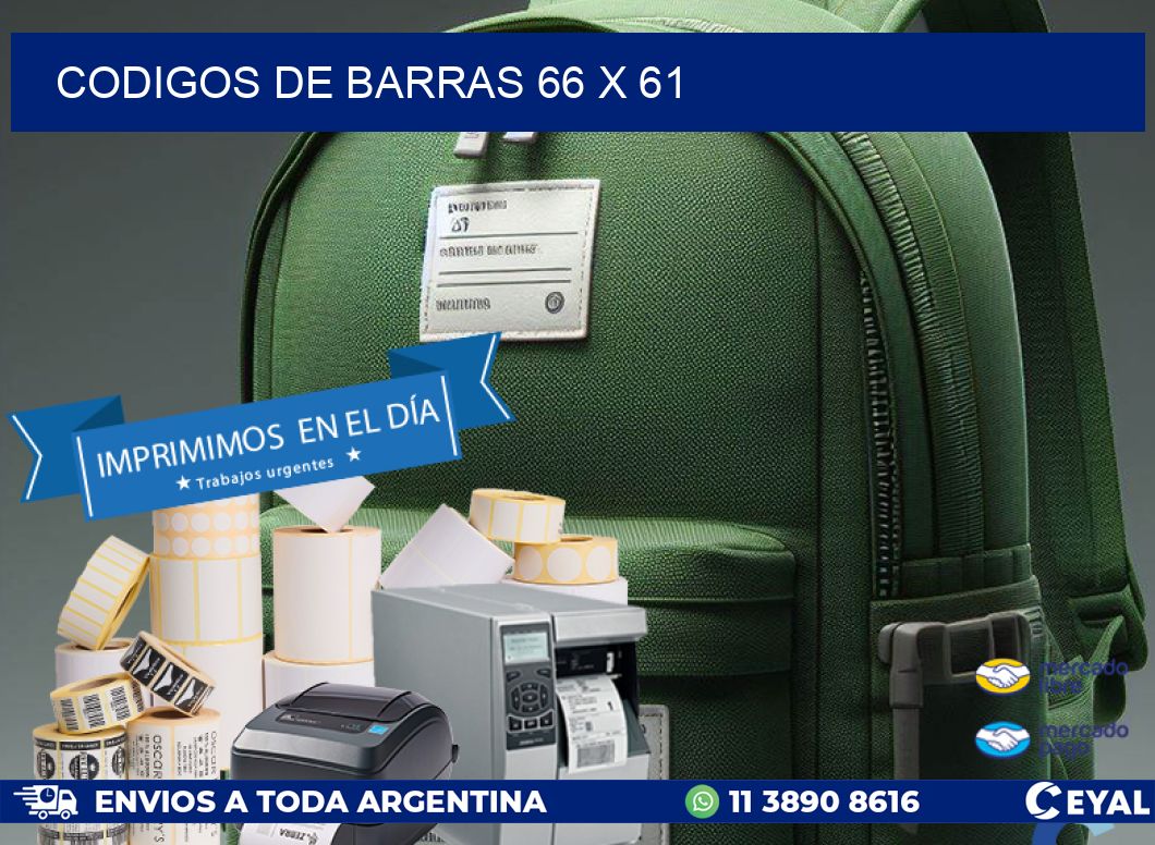 codigos de barras 66 x 61
