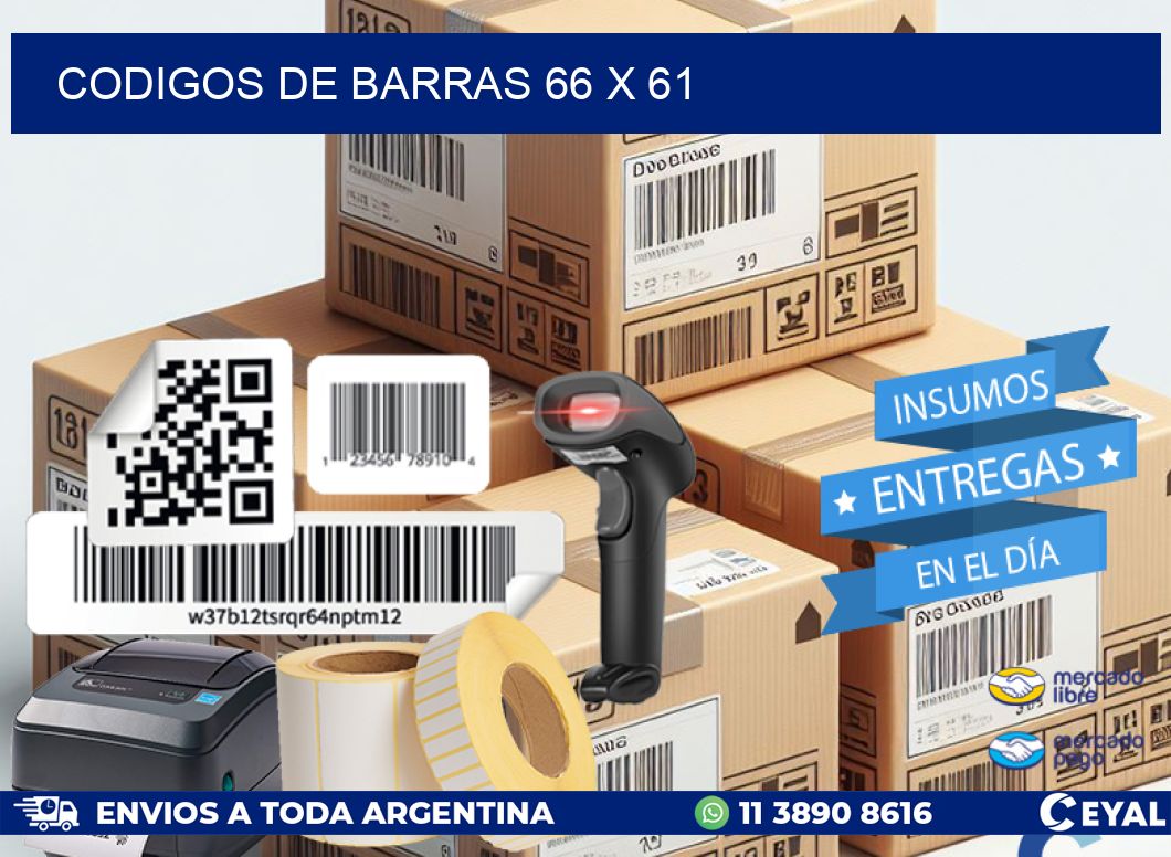 codigos de barras 66 x 61