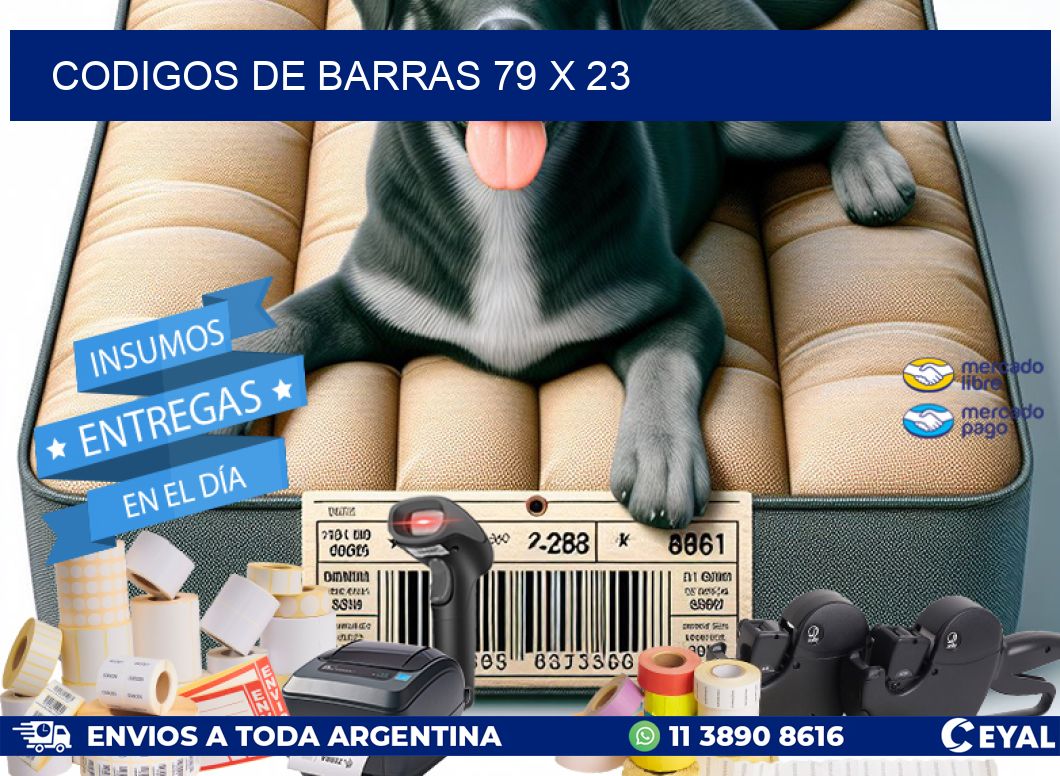codigos de barras 79 x 23