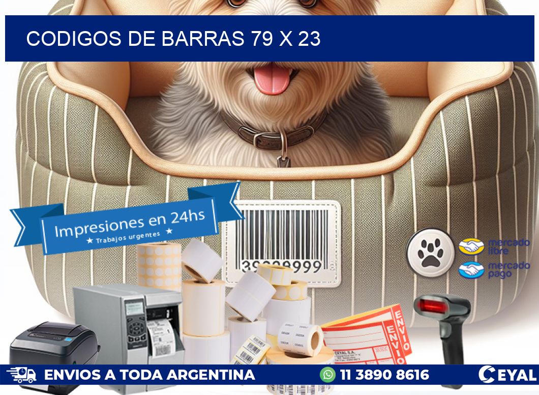 codigos de barras 79 x 23