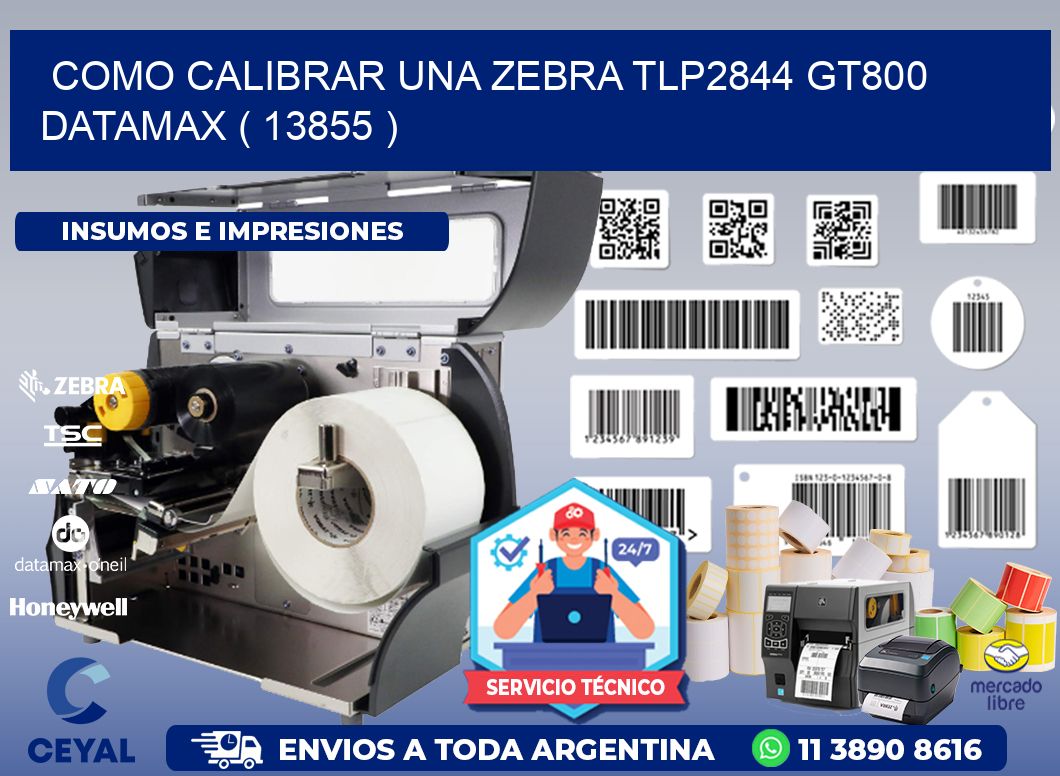 COMO CALIBRAR UNA ZEBRA TLP2844 GT800 DATAMAX ( 13855 )