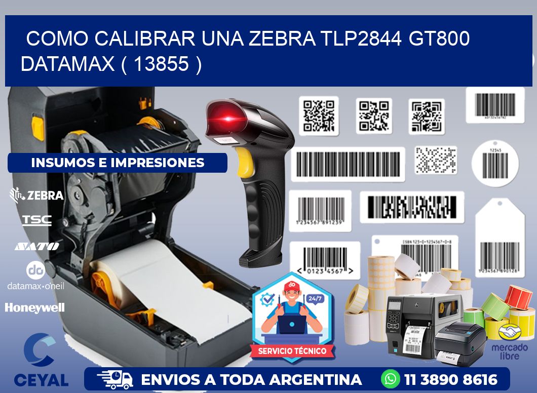 COMO CALIBRAR UNA ZEBRA TLP2844 GT800 DATAMAX ( 13855 )