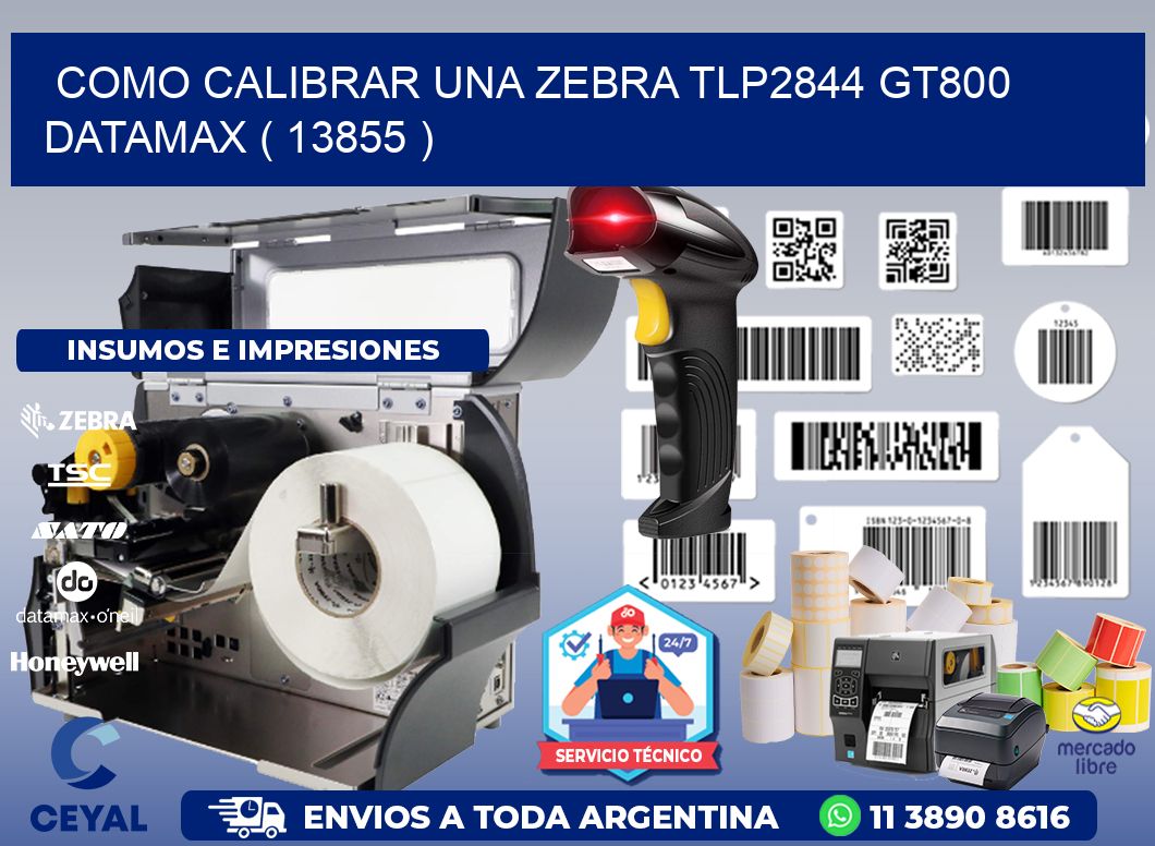 COMO CALIBRAR UNA ZEBRA TLP2844 GT800 DATAMAX ( 13855 )