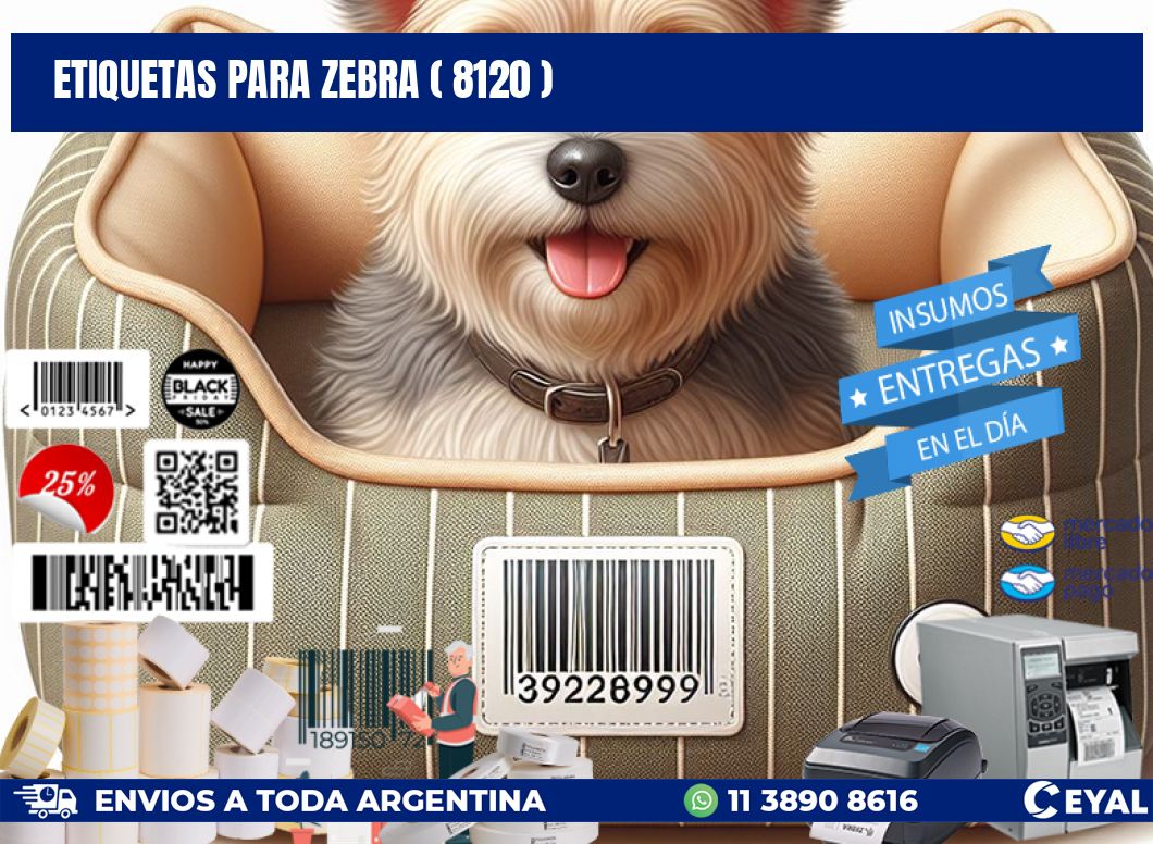 ETIQUETAS PARA ZEBRA ( 8120 )