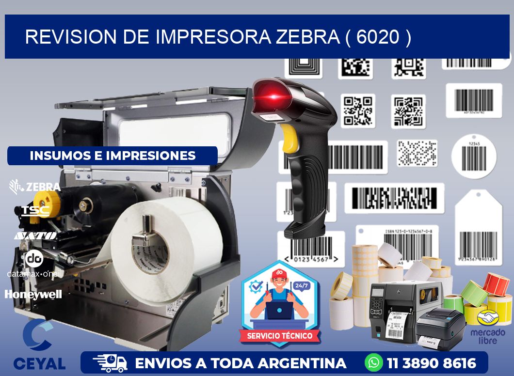 REVISION DE IMPRESORA ZEBRA ( 6020 )