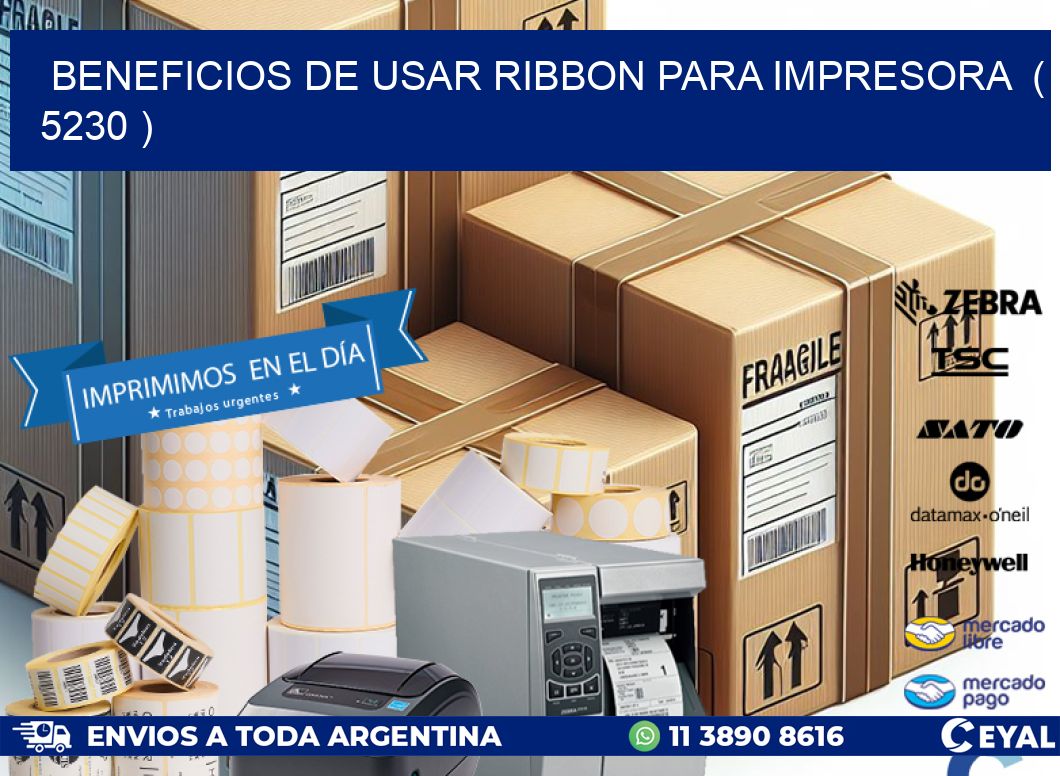 BENEFICIOS DE USAR RIBBON PARA IMPRESORA  ( 5230 )