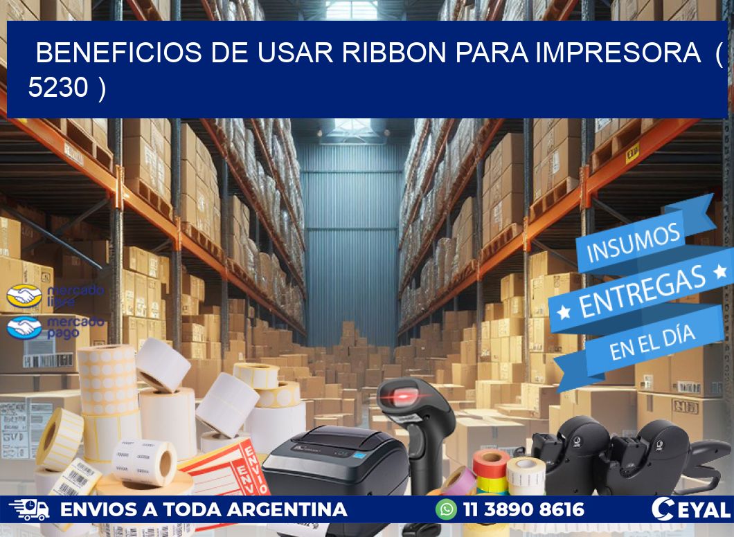 BENEFICIOS DE USAR RIBBON PARA IMPRESORA  ( 5230 )