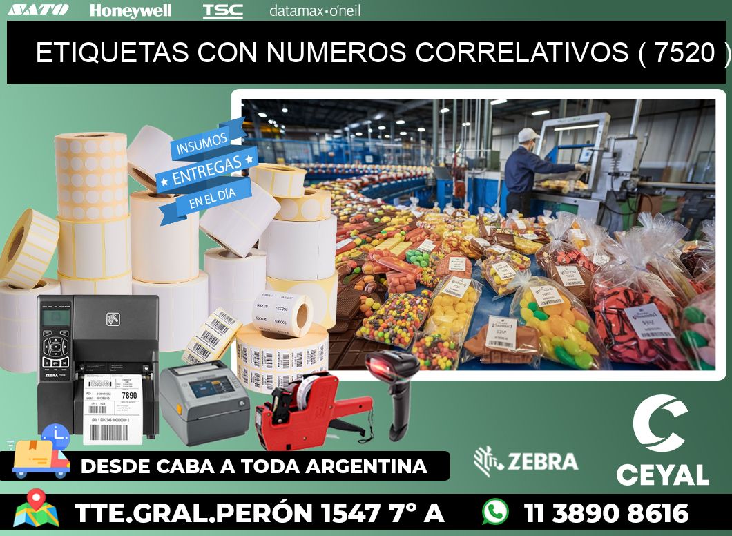 ETIQUETAS CON NUMEROS CORRELATIVOS ( 7520 )