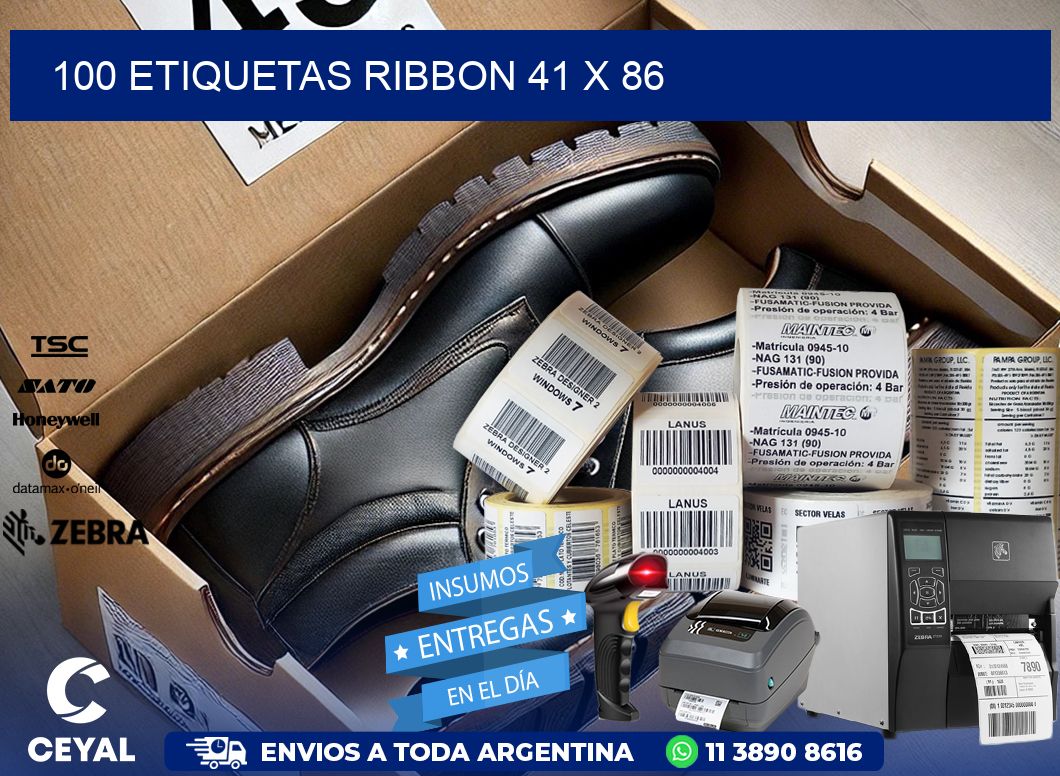 100 ETIQUETAS RIBBON 41 x 86