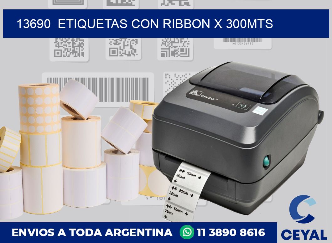 13690  ETIQUETAS CON RIBBON X 300MTS