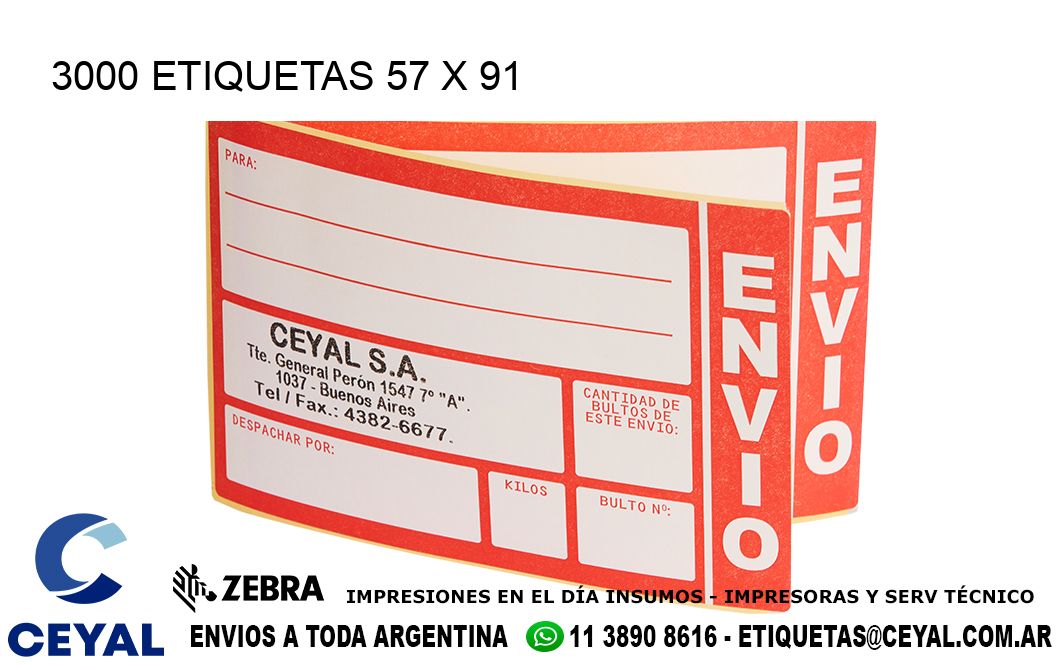 3000 ETIQUETAS 57 x 91