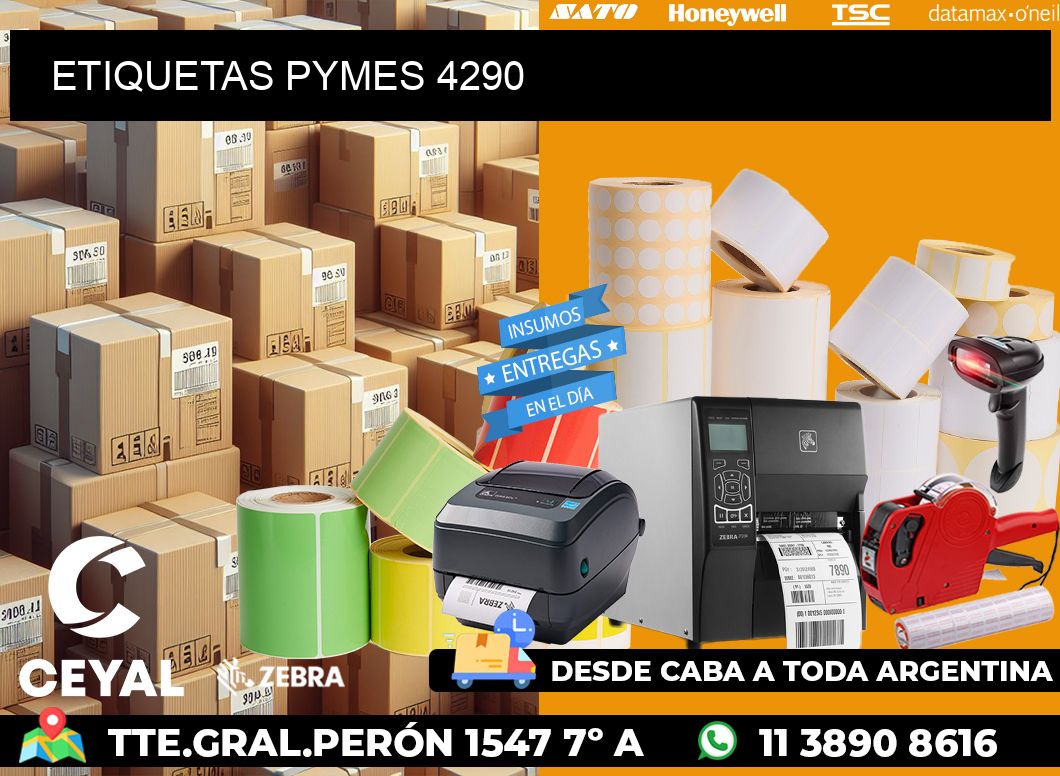 ETIQUETAS PYMES 4290